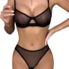 Sexy Mesh Sheer Push Up Lingerie Set